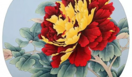 牡丹视频,探寻国色天香背后的故事与魅力