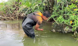 抓鱼的视频,视频揭秘海洋捕捞的精彩瞬间